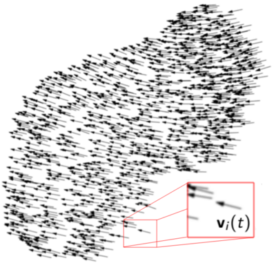 flock.png